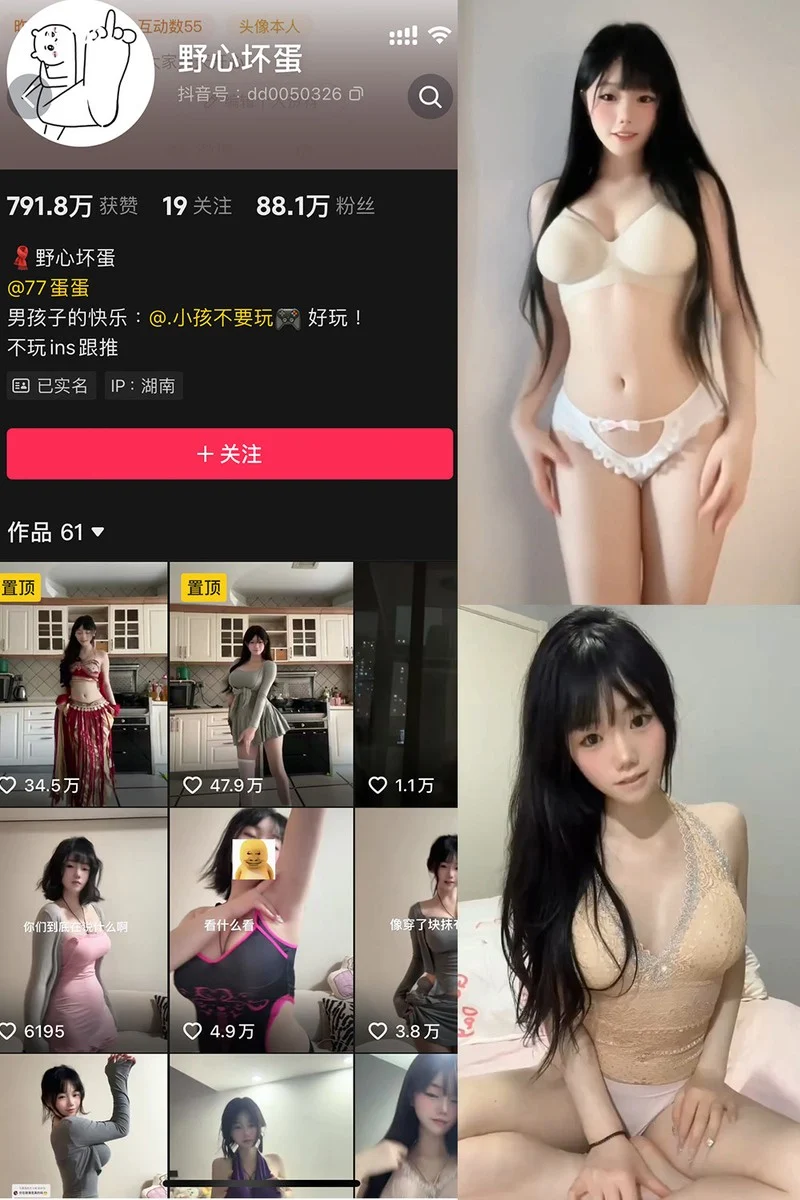 野心坏蛋封面